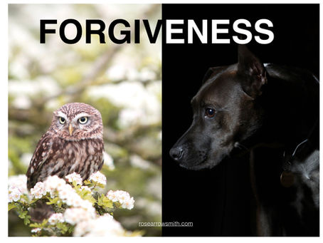 Forgiveness: Writing Prompt