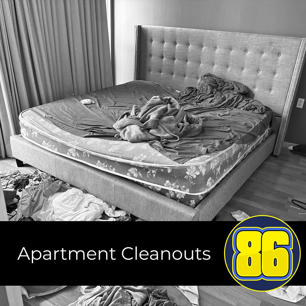 Apartment Cleanouts.jpg