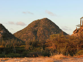 Beyond the Beaches: Aruba's Hidden Side