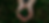 About-02BG.png