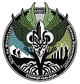 logo.webp