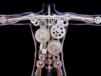 There Is No Such Thing as Correct Body Mechanics