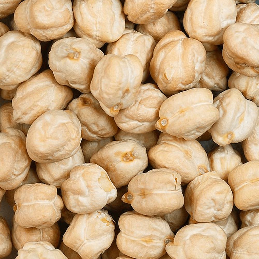Grão de Bico 100g