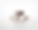 1_edited_edited_edited_edited.png