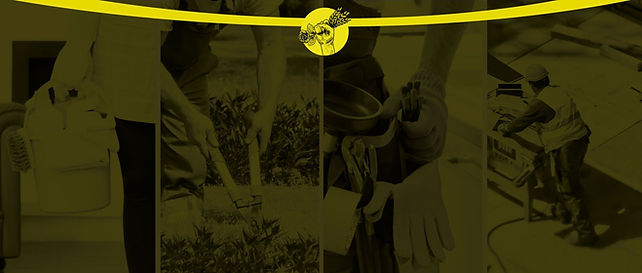 COVER-3.jpg