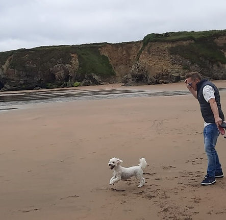 Dog Boarding Kinsale