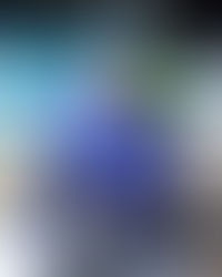 Hill Equals Australian Record