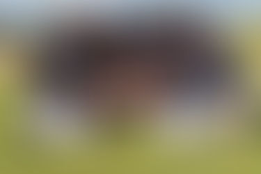 Eagles the Kings of Baseball