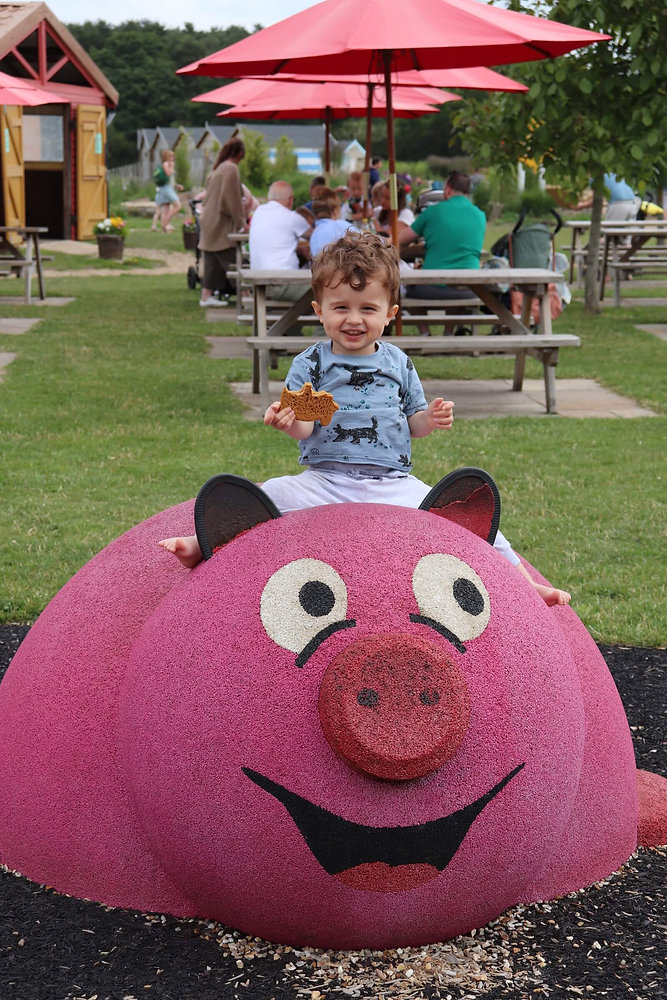 Piglets Adventure Farm York The Travel Mum