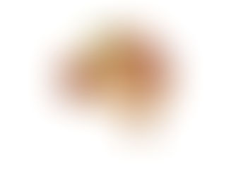 Los secretos de los frutos secos para la tercera edad