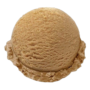 WhatsApp Image 2025-03-15 at 20.01_edite