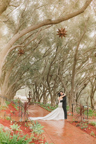 Carol & Ian's Glamorous Winter Wedding...