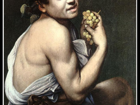 Bacchino malato