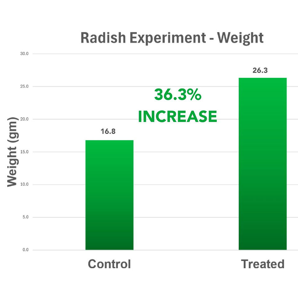 Radish Experiment Average Weight