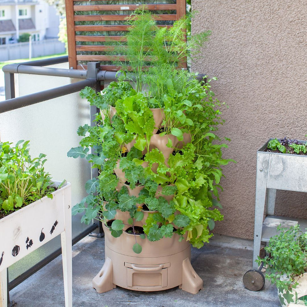 Vertical garden growing salad greens, herbs, and vegetable