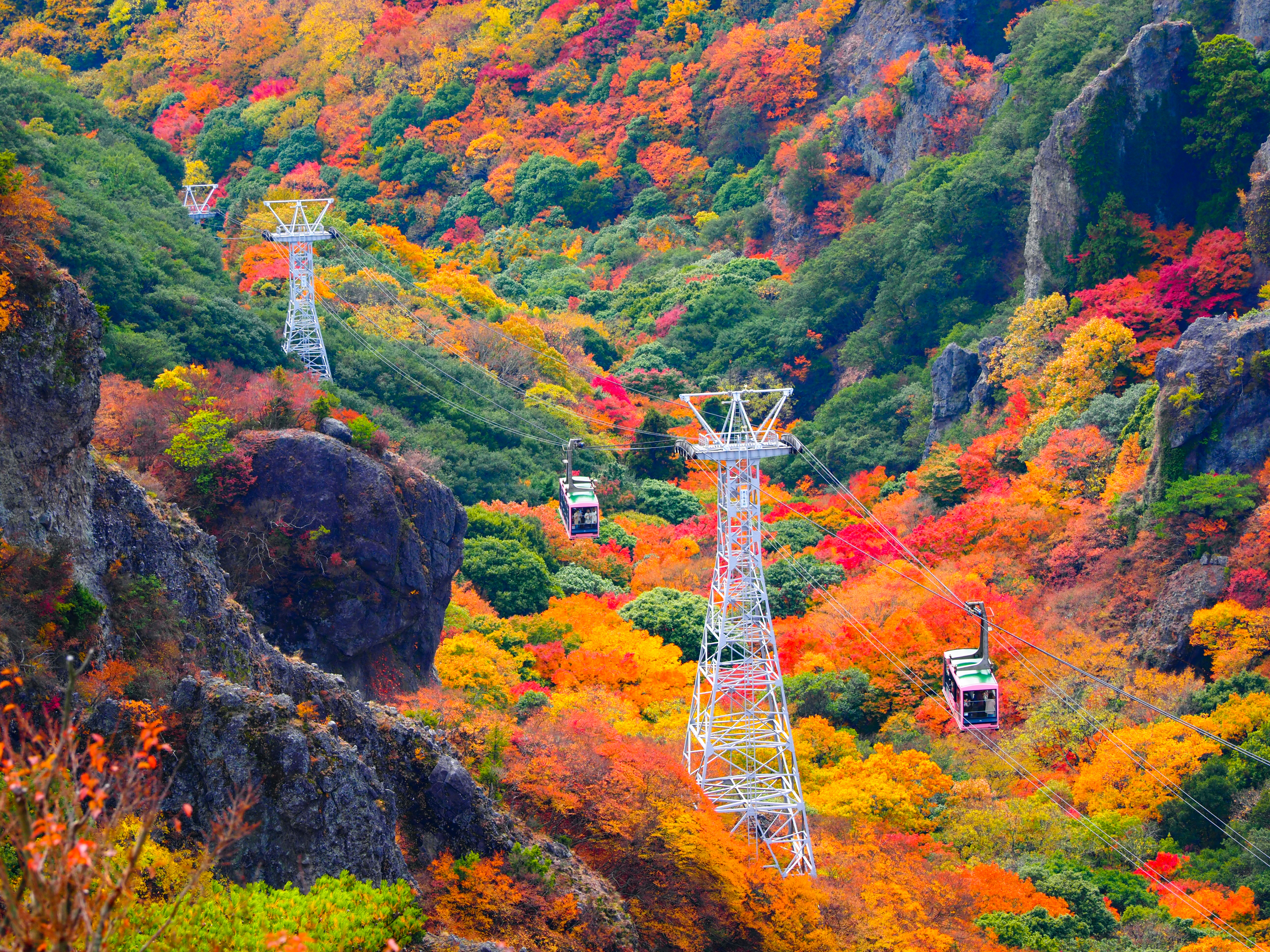 AdobeStock_409145702.jpeg