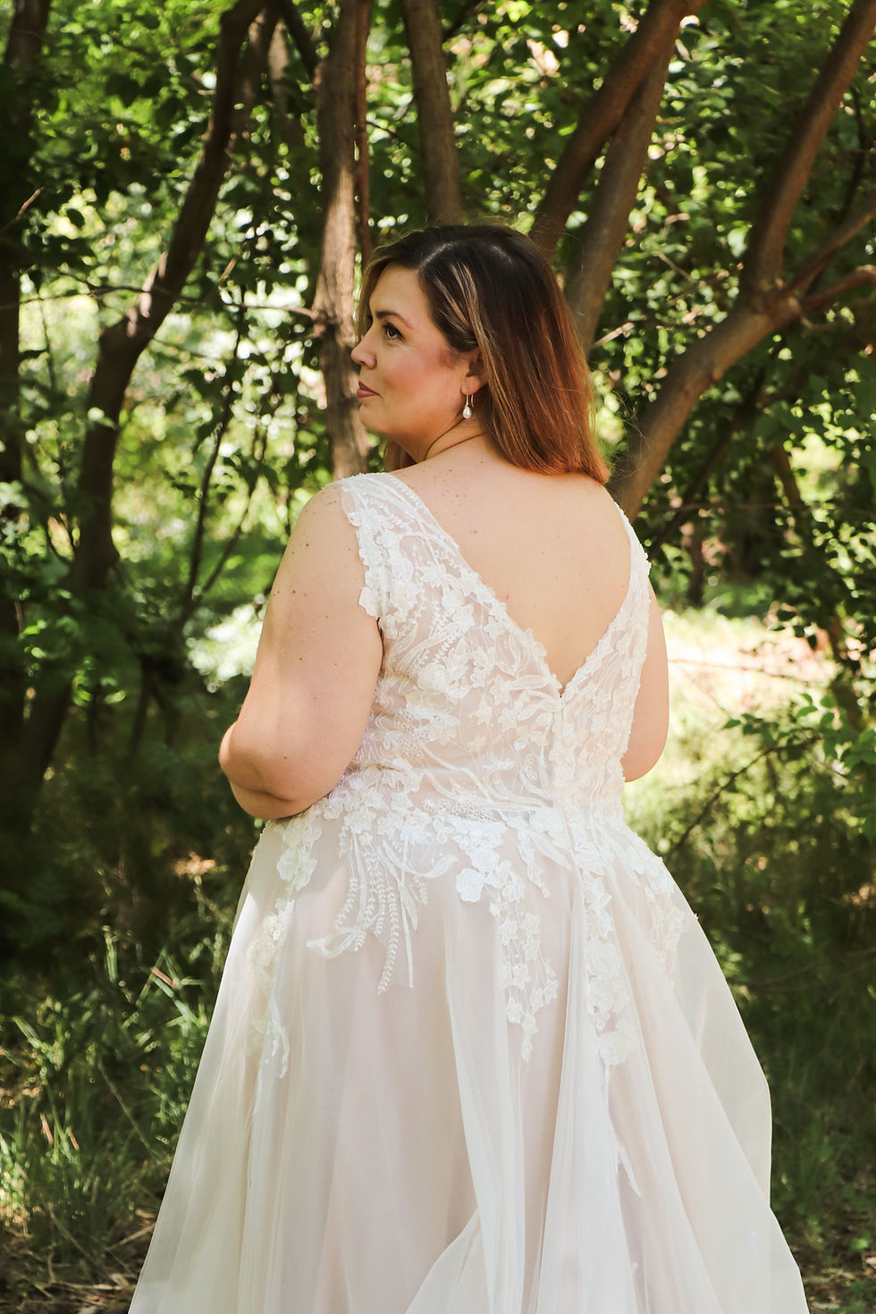 Thumbnail: Josephine Curve