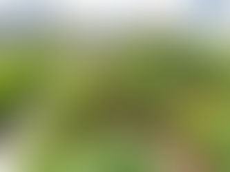 Ordinance Spotlight: Bill to expand the definition of “Urban Farm” (PGC Council)