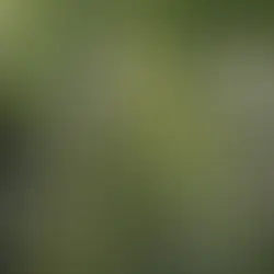 10 Minute Nature 'Challenge'