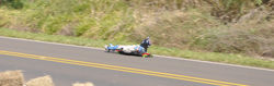 _DSC0453.JPG