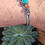 Thumbnail: Beauty In the Desert 🏜 VINTAGE Bracelet