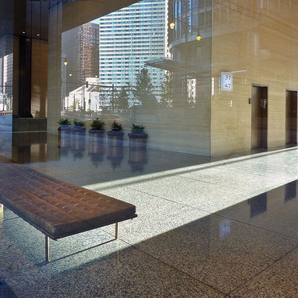 Thumbnail: Mies van der Rohe Barcelona Daybed from the IBM Building