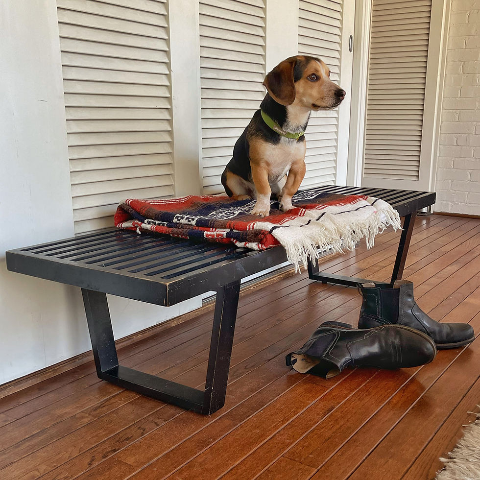 Thumbnail: George Nelson Platform Bench by Herman Miller