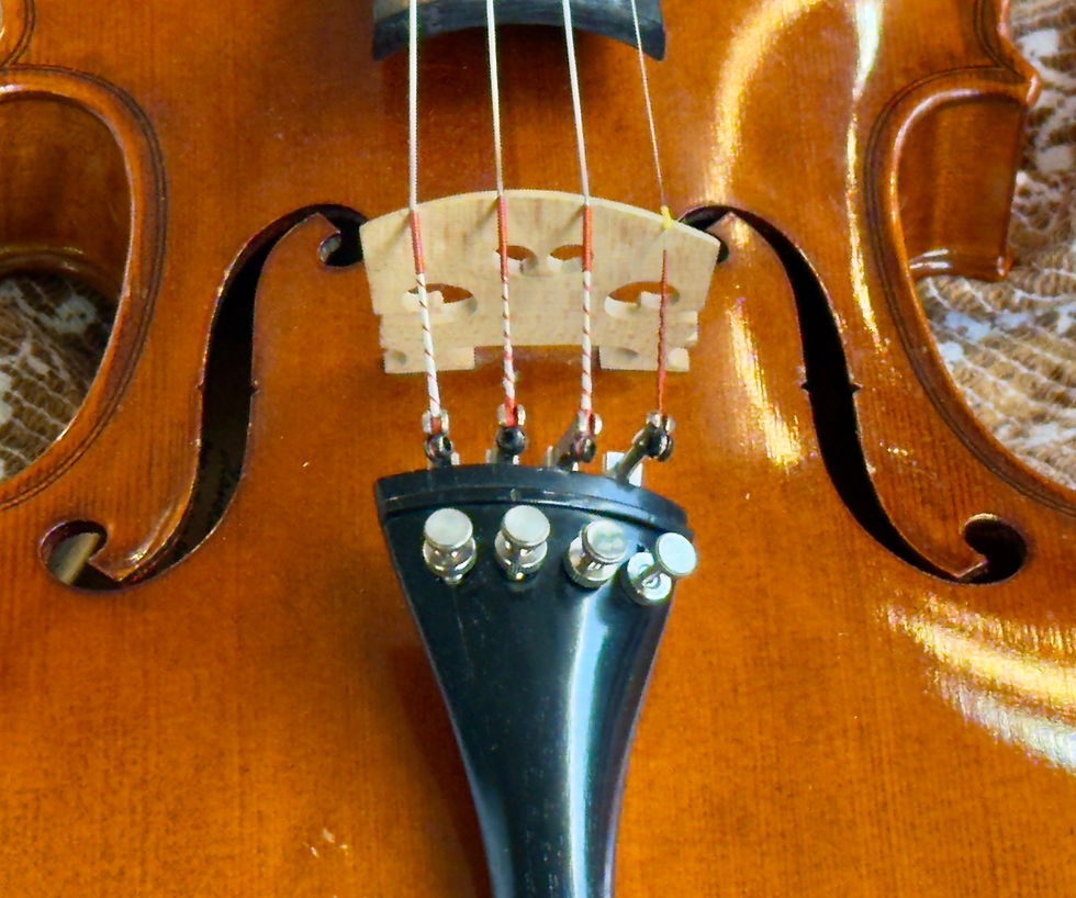 Miniaturbild: Geige Nr.21