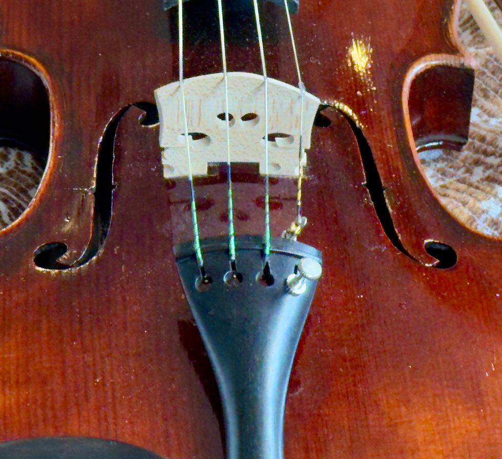 Miniaturbild: Geige Nr.51