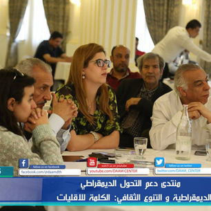 Democratic Transition & Human Rights Support - DAAM