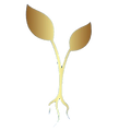 RootIIRise Logo_edited_edited_edited_edited.png