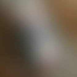 Sorteio de Aniversário!