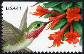 HUMMINGBIRDS