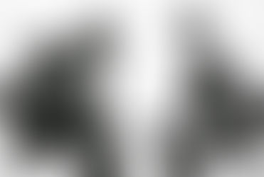 In Sachen Ehre ... Ganz ehrlich!