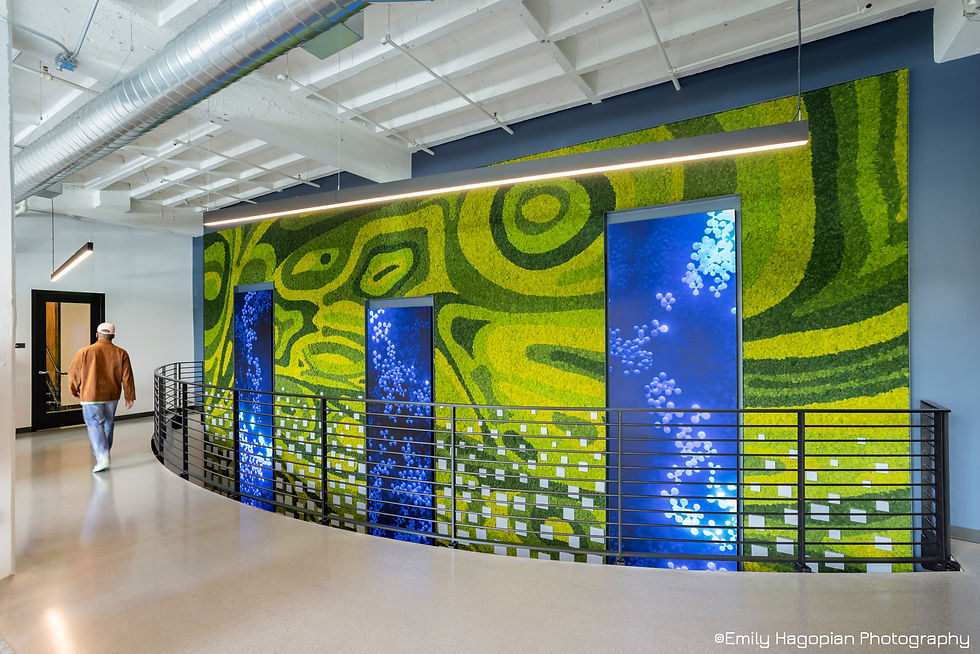 One of the commissioned gallery installations, a mural by artist Xavi Panneton.