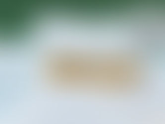 IRS Sets 2026 Retirement Plan Contribution Limits