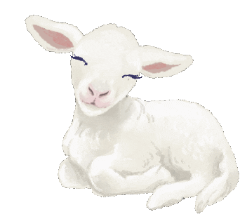 giphy (1).gif