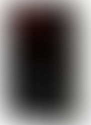 Zenobia - Birth of a Legend ebook is heavily discounted!