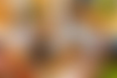 Food Delivery App Development Services Unlock Success: The Ultimate Guide