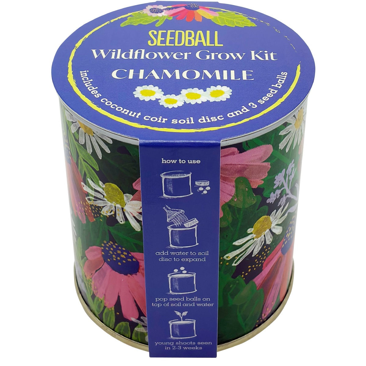 Wildflower Grow Kit