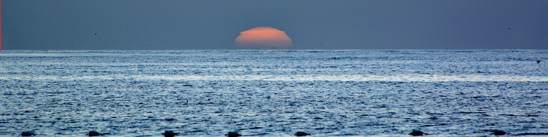 SunsetWebsiteCC.jpg