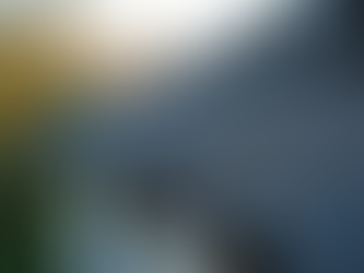 Signs Your Roof Needs Immediate Attention - Roof Repair Services in San Ramon