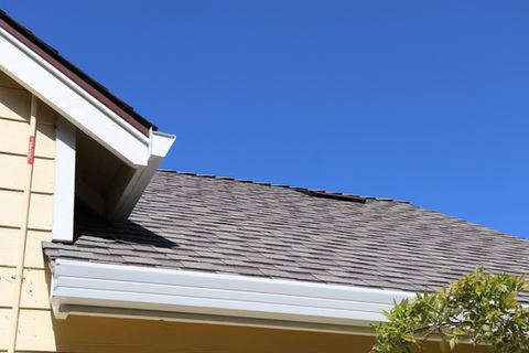 Damaged roof shingles needing repair