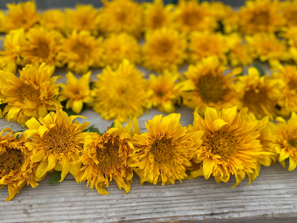 Thumbnail: Gift Certificate