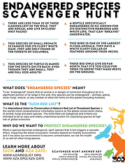 Bergen County Zoo ENDANGERED SPECIES SCAVENGER HUNT.png