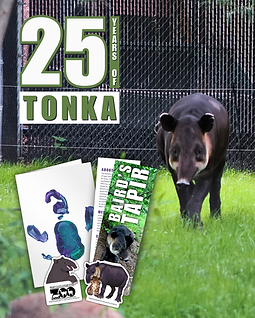 8.31.25 - Tonka Day.png