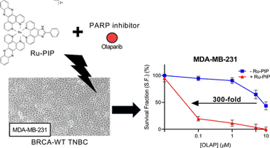 ACSChemBiol2020 graphabs.gif