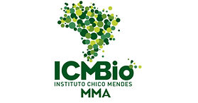 Design sem nome (4).jpg