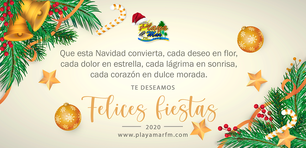 Feliz navidad y propsero año