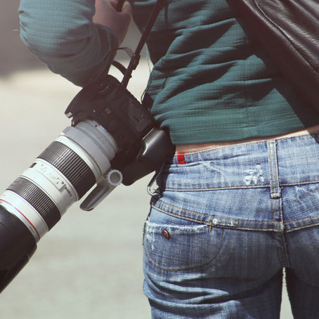 Pro Tips From Female Wildlife Photographers in the UK